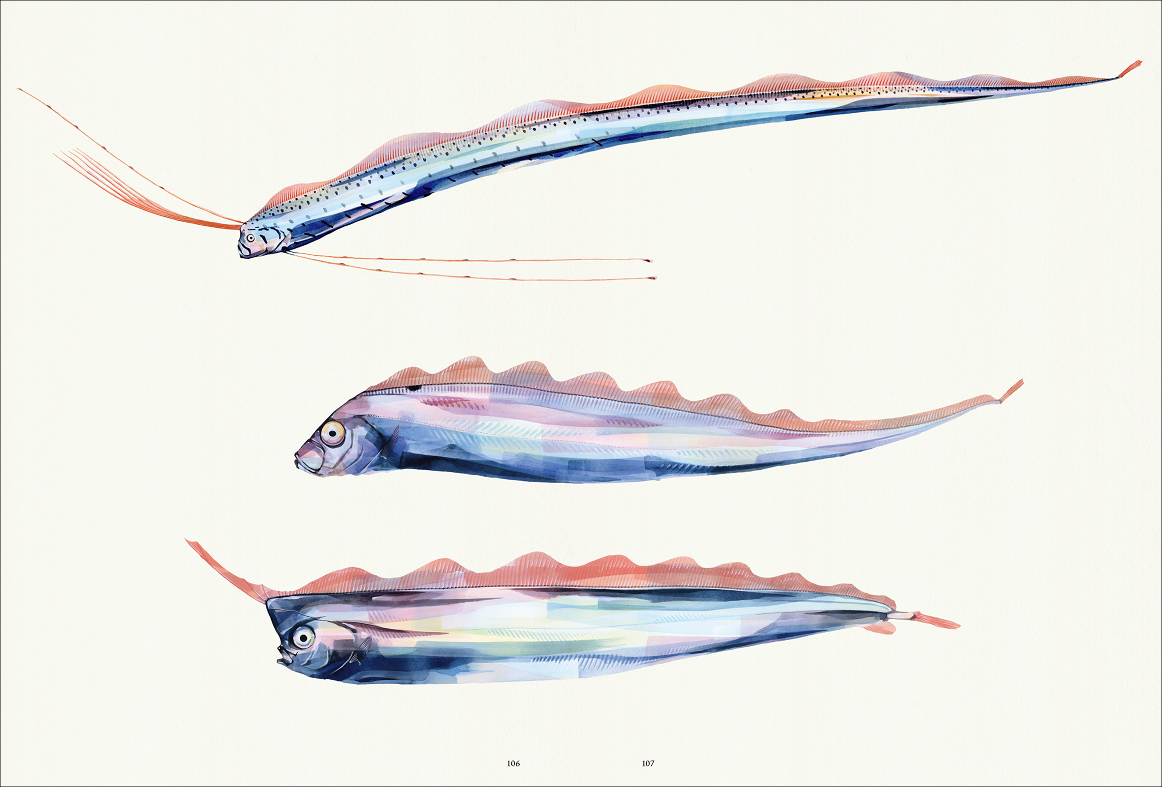 水墨画 掛軸 魚と水の流れ 水墨画 掛軸 魚と水の流れ
