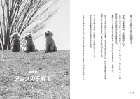 あんずページ 916R6a--zNL._UF350,350_QL50_.jpg