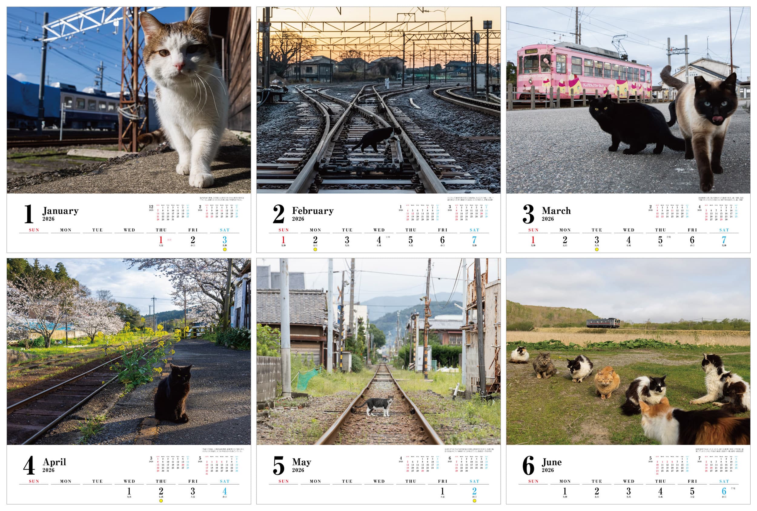 ねこと鉄道（イカロスカレンダー2026） - イカロス出版 イカロス出版の本
