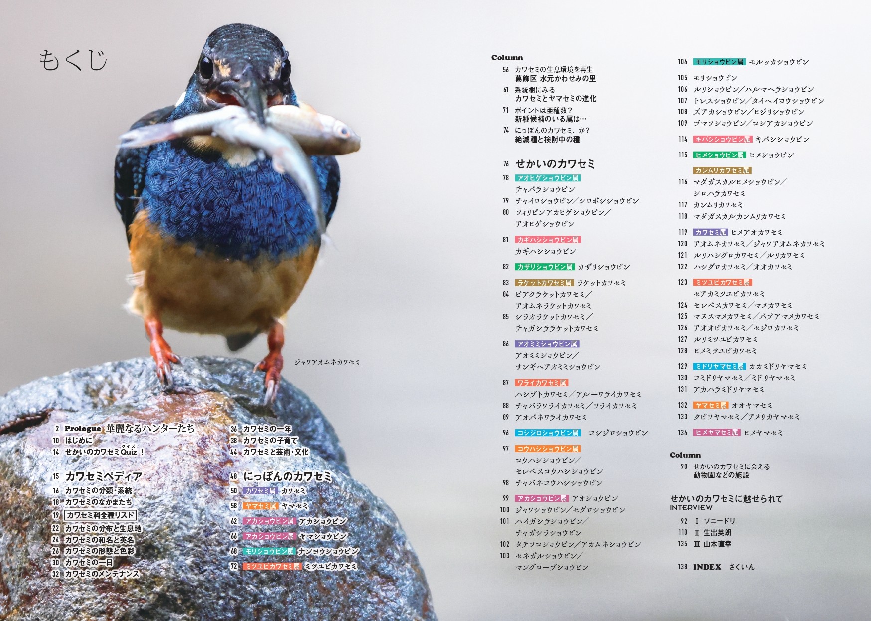 せかいのカワセミ - 株式会社カンゼン