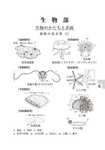 理科年表 2026 - 丸善出版 理工・医学・人文社会科学の専門書出版社