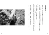 子ブタたちはどう生きたのか ぶぅふぅうぅ農園の7か月 - 株式会社岩崎