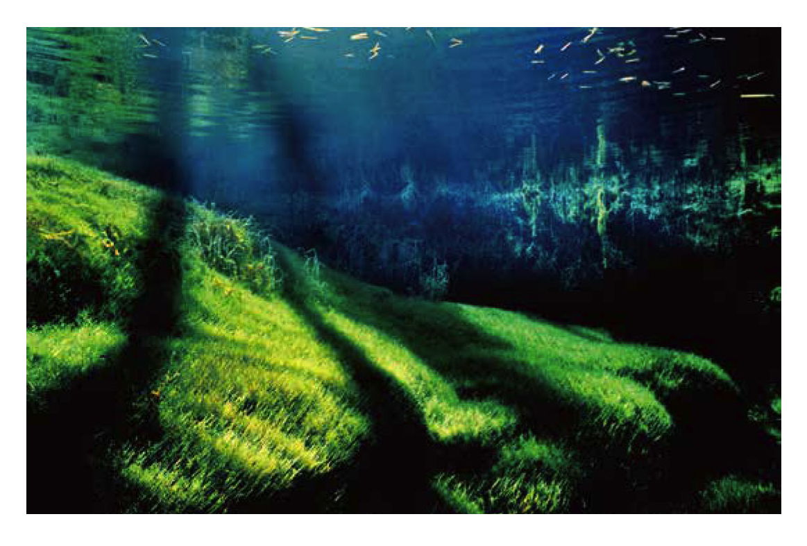 ポストカードブック「裏磐梯 五色沼湖沼群――日本の湖水地方」 - 株式