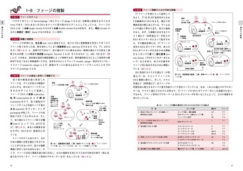 ポイントがわかる分子生物学 第3版 - 丸善出版 理工・医学・人文社会