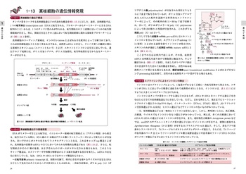 ポイントがわかる分子生物学 第3版 - 丸善出版 理工・医学・人文社会