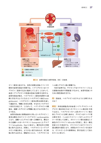 症状から学ぶ生化学 - 丸善出版 理工・医学・人文社会科学の専門書出版社