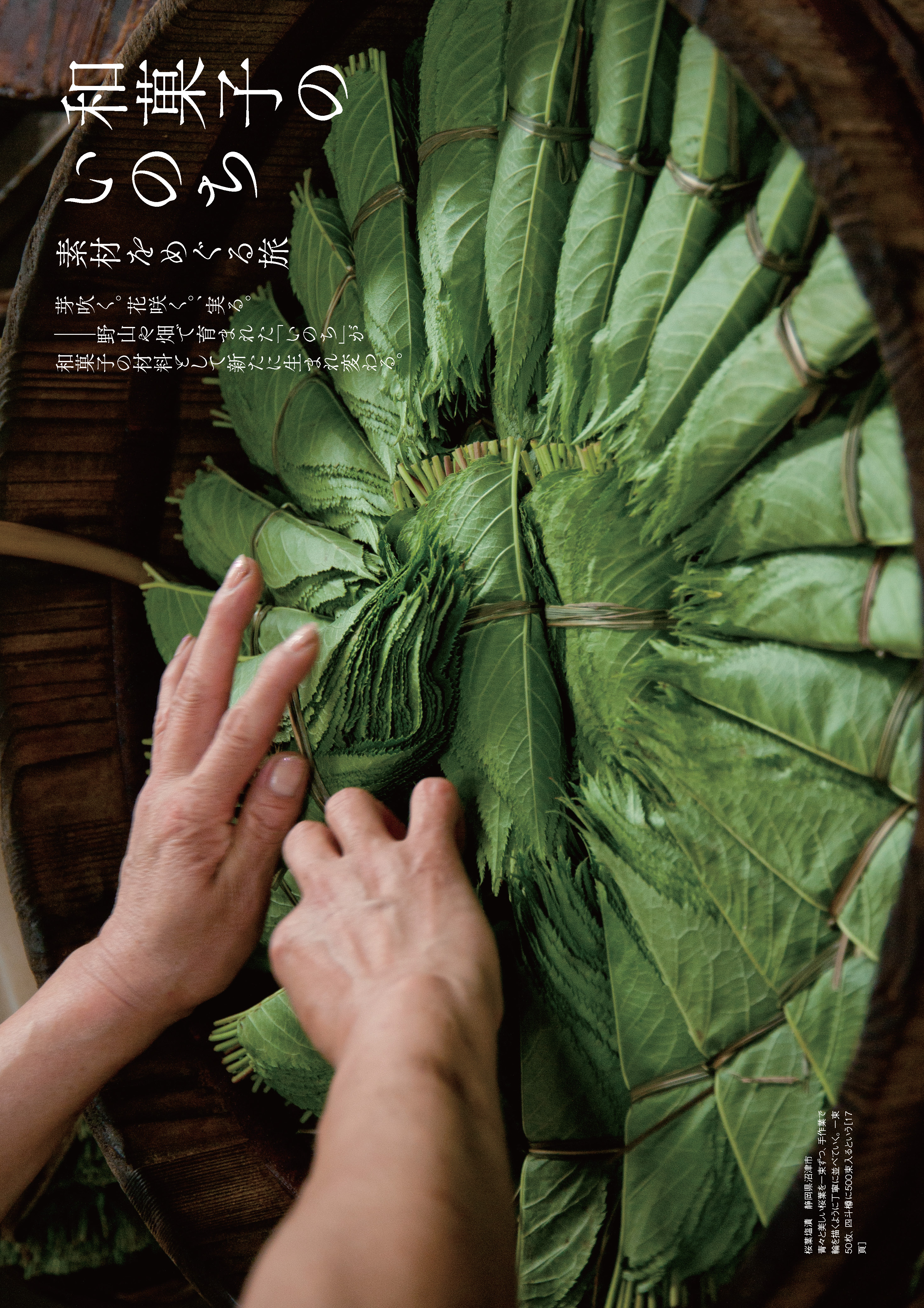 和菓子のいのち - 京都新聞出版センター