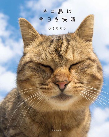 ここから検索　嬉しい楽しい大好きが一杯ΦωΦ　猫　#みんな集まれネコの森　日本 カメラ旅女の全国ネコ島めぐり】日本の島で暮らす幸せな猫を求めて
