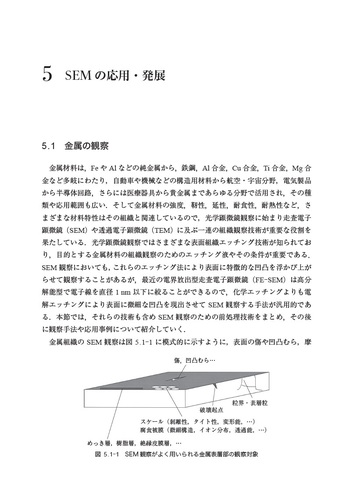走査電子顕微鏡 第2版 - 丸善出版 理工・医学・人文社会科学の専門書出版社