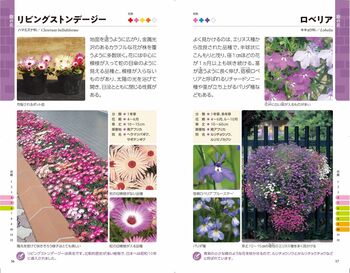 新・散歩で見かける四季の花 - 株式会社日本文芸社