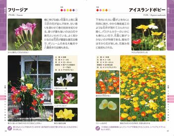 新・散歩で見かける四季の花 - 株式会社日本文芸社