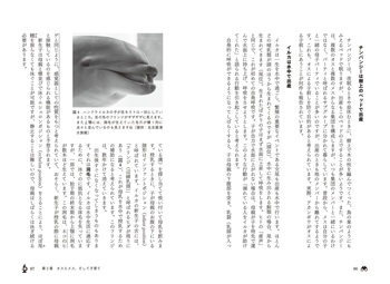 野生動物学入門 - 丸善出版 理工・医学・人文社会科学の専門書出版社