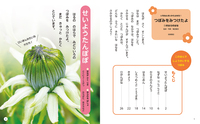 いちねんせいからよめる！ つぼみをみつけたよ（全4） - 株式会社岩崎