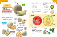 季節を感じる旬の食べもの図鑑（全4） - 株式会社岩崎書店 この1冊が