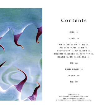 AGAVES～アガベ～ - 株式会社日本文芸社