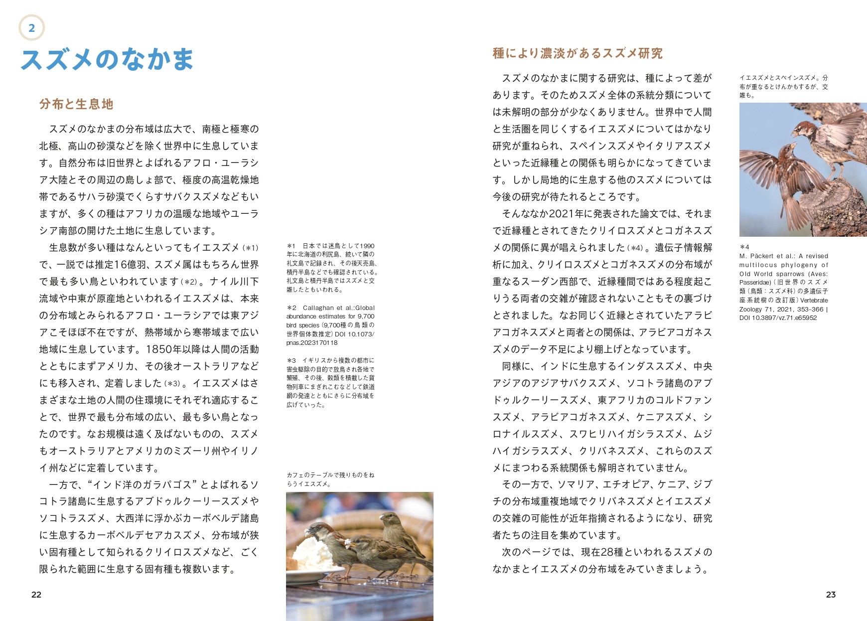 せかいのスズメ - 株式会社カンゼン