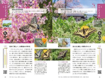 日本と世界の蝶図鑑 - 株式会社日本文芸社