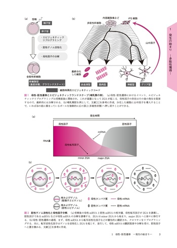図説 現代発生生物学 - 丸善出版 理工・医学・人文社会科学の専門書出版社