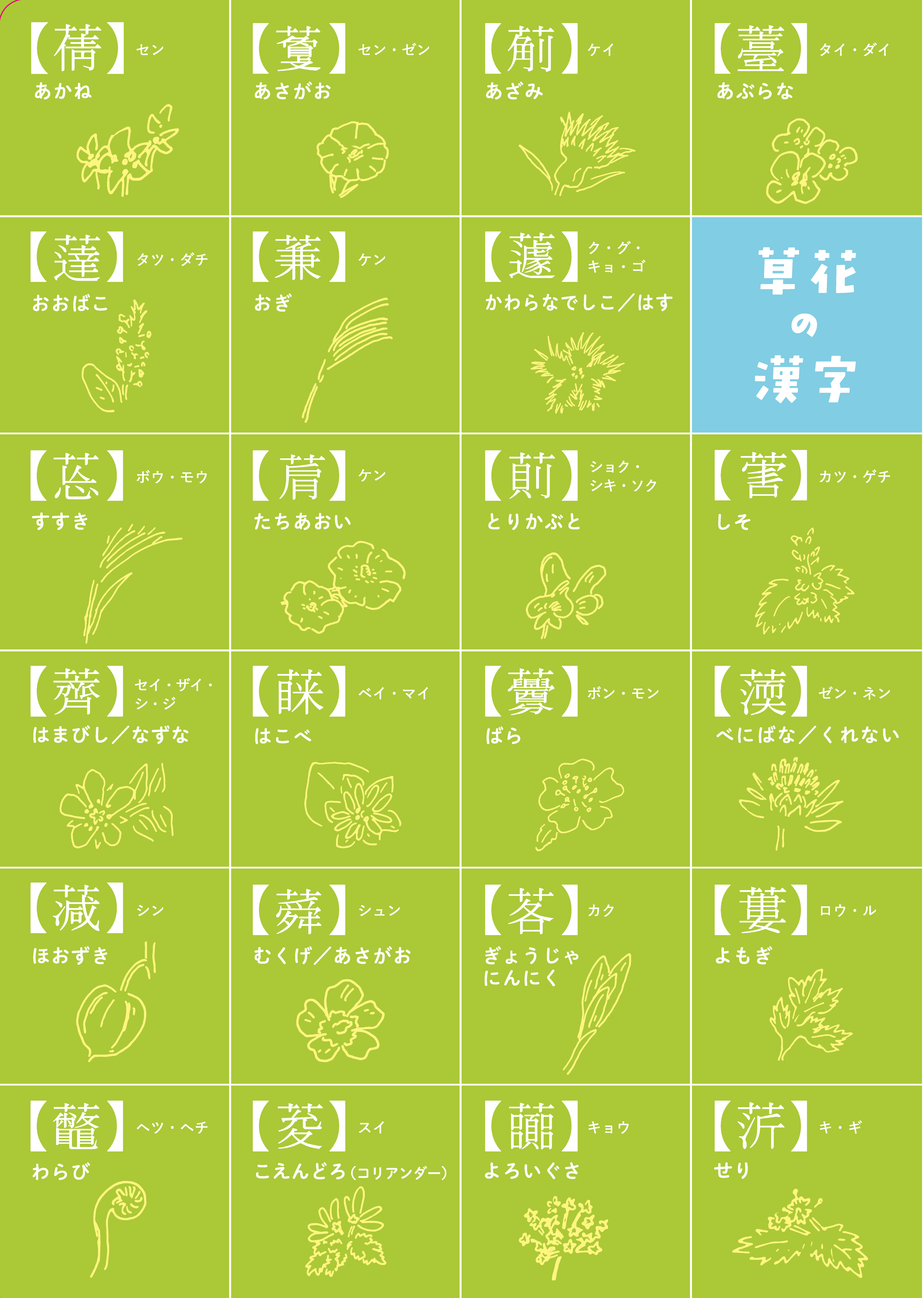 クリアファイル⑥ 草花の漢字 - 株式会社大修館書店