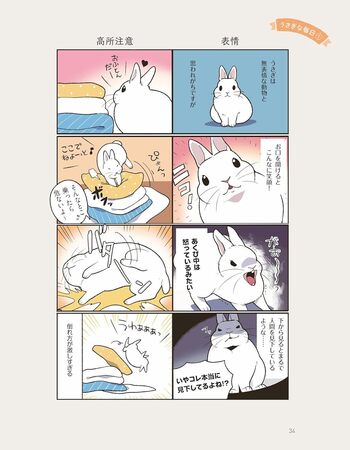 うさごころ」がわかる本 - 株式会社日本文芸社