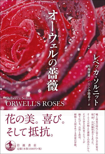 middle_aebd85dd-d17a-4117-b693