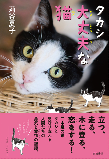 高橋源一郎 著作セット（全48冊）