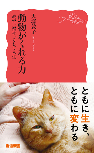 カード式　新参考書　動物学　研究社発行 カード式 新参考書 動物学 研究社発行