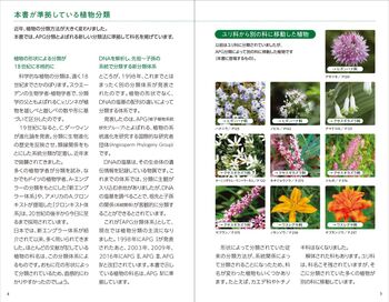 新・散歩で見かける野の花・野草 - 株式会社日本文芸社