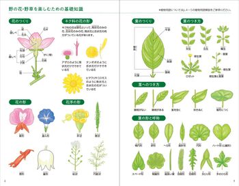 新・散歩で見かける野の花・野草 - 株式会社日本文芸社