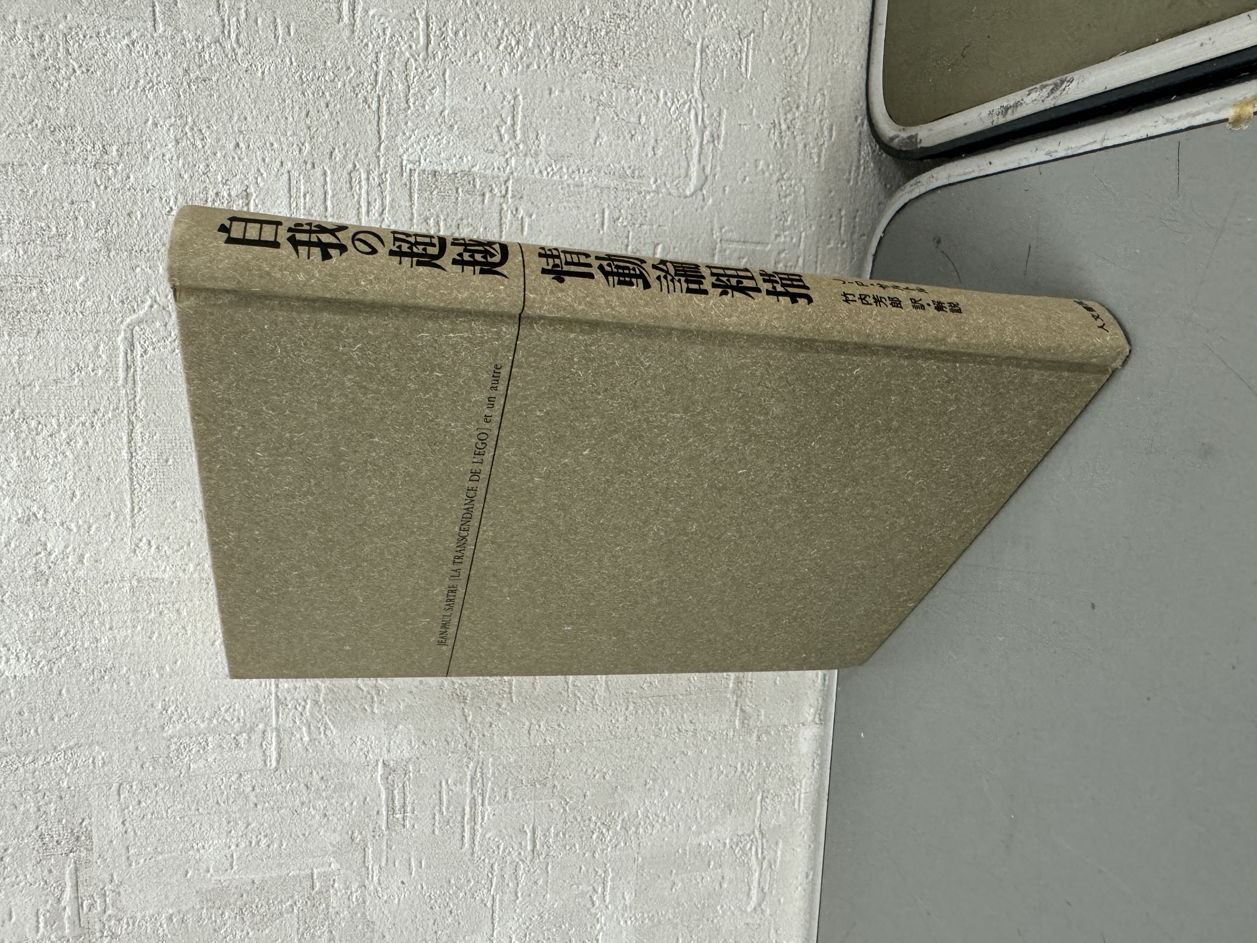 自我の超越 情動論粗描 - 株式会社 人文書院